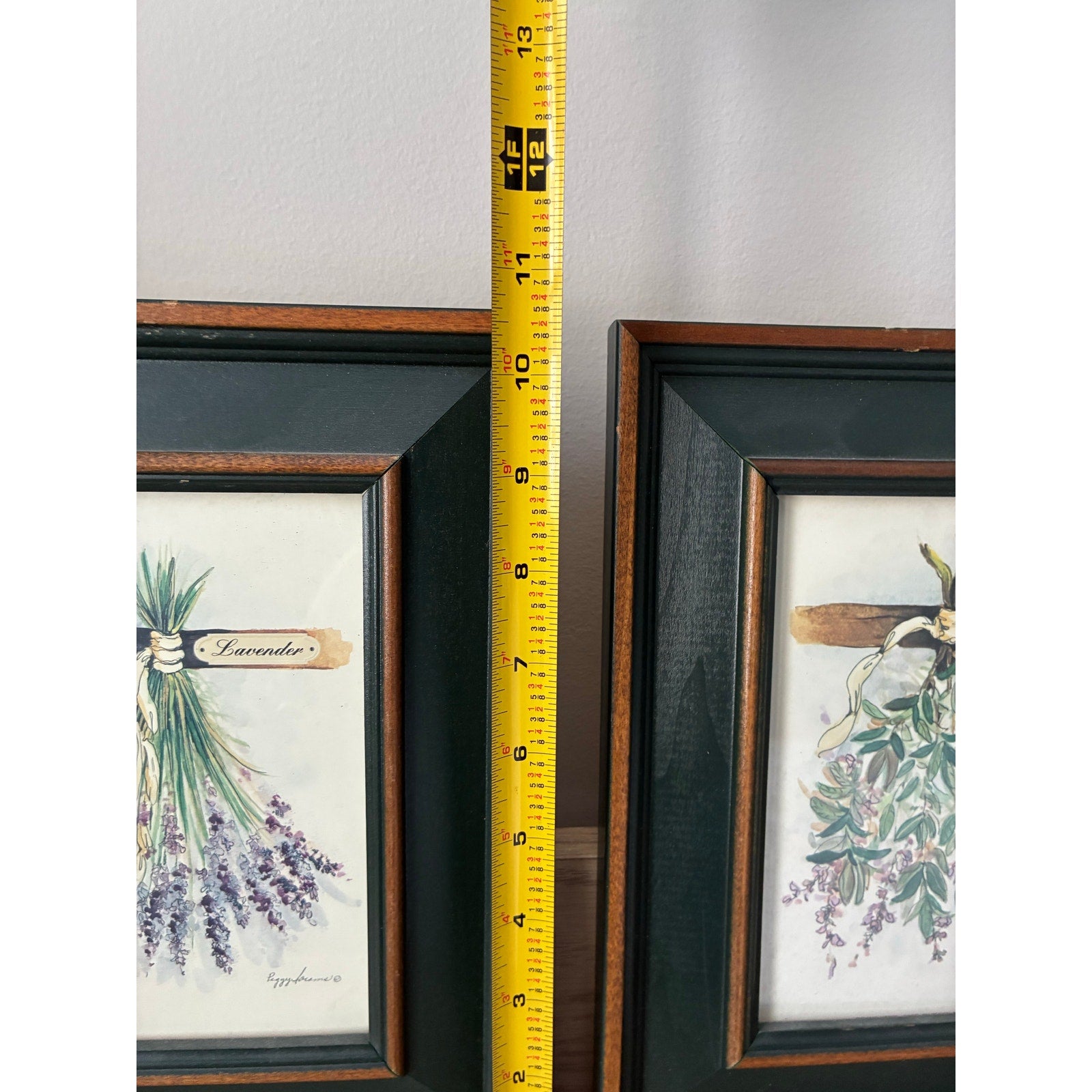 Peggy Abrams Framed Botanical Prints "Rosemary" and "Sage" - 2 Pieces Watercolor Herb Wall- set of 2