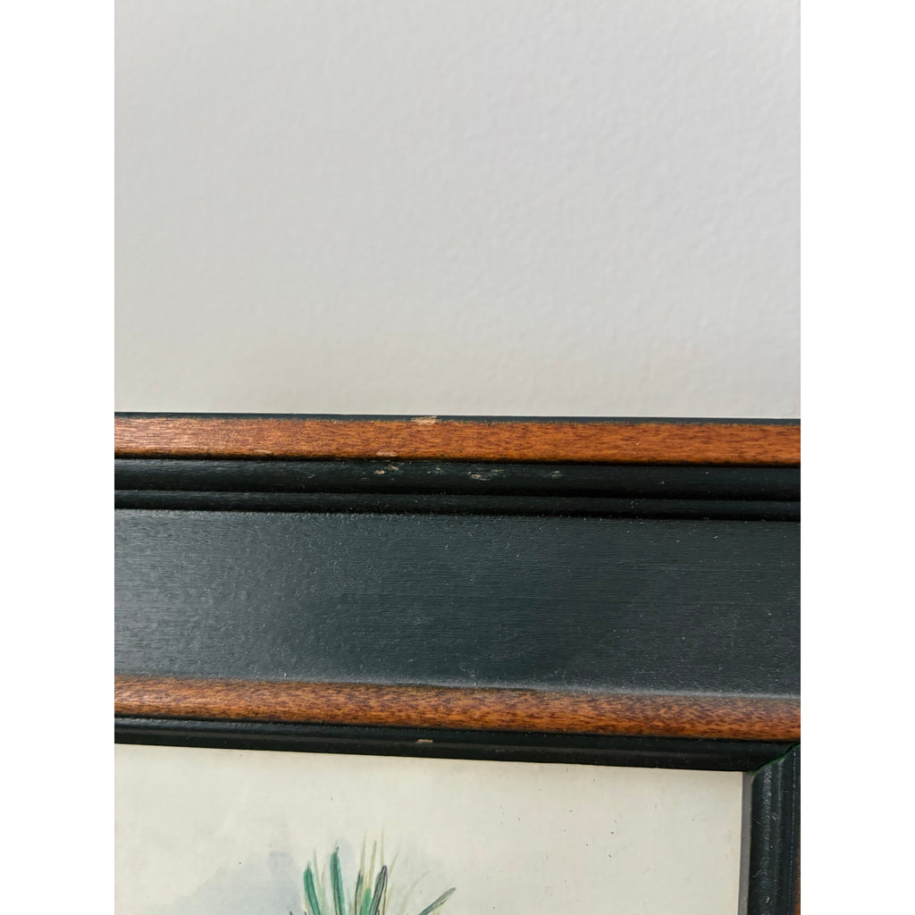 Peggy Abrams Framed Botanical Prints "Rosemary" and "Sage" - 2 Pieces Watercolor Herb Wall- set of 2