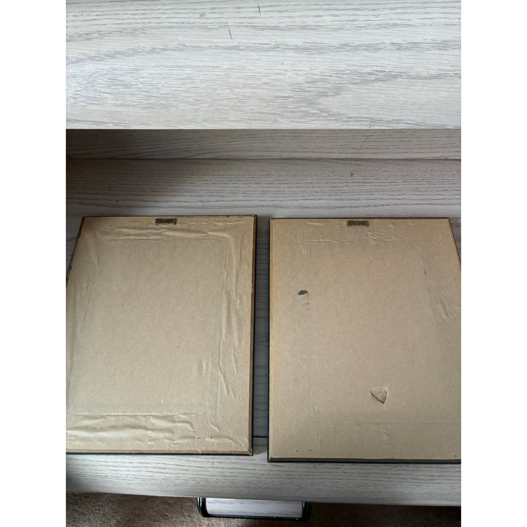 Peggy Abrams Framed Botanical Prints "Rosemary" and "Sage" - 2 Pieces Watercolor Herb Wall- set of 2