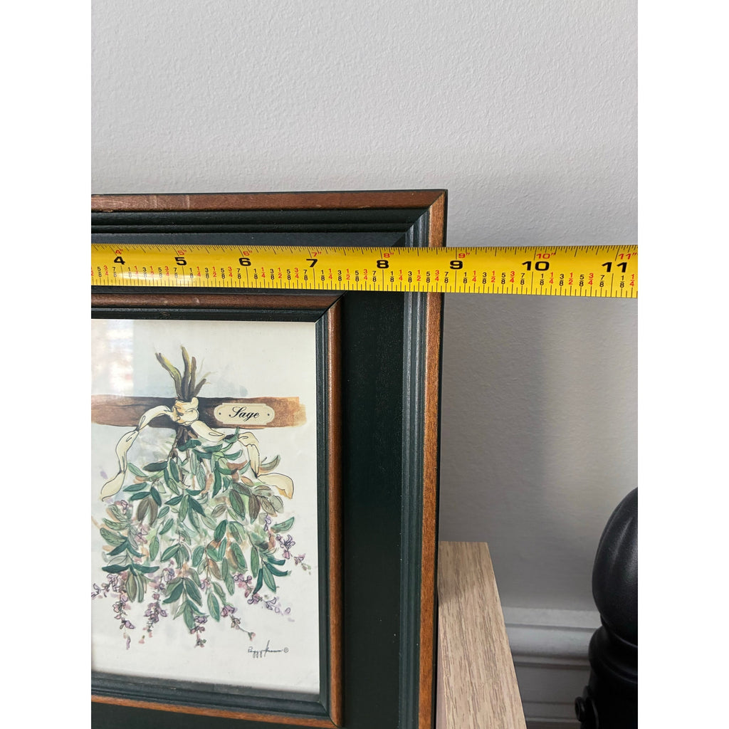 Peggy Abrams Framed Botanical Prints "Rosemary" and "Sage" - 2 Pieces Watercolor Herb Wall- set of 2